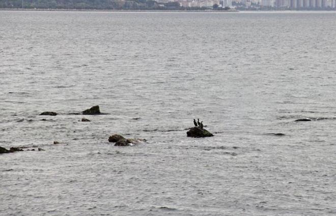 nk o dnemin teknolojisiyle oksijensiz bir ekilde su altnda ilerlemek mmkn deil. Ancak, manastrdan deniz kysna gizli k yerleri olan ka tnelleri olabilir. rnein Beykoz&#8217;daki Hnkr Kasr&#8217;nn gizli ka tnelleri gibi&#8230; u ansa Vordonisi'yi turizme ve UNESCO Dnya Miras listesine katabilmek iin almalar yaplyor. Ayrca ada evresinde dallarda yapld. Dallarn amacysa aday UNESCO Dnya Miras Listesi'ne sokmak ve dal turizmine amak.