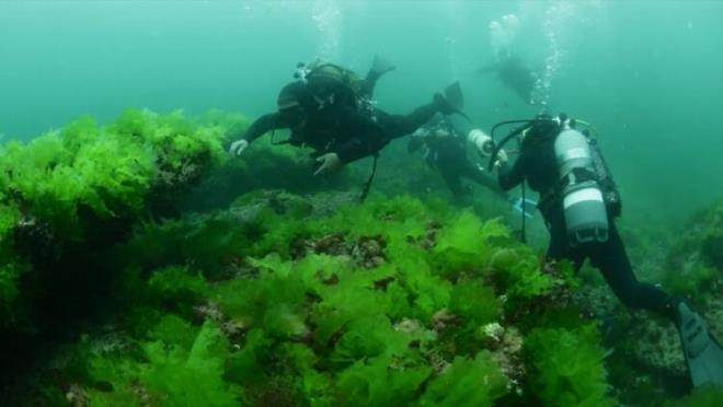 Byras Saray, Satyros Manastr ve Vordonisi gizemi<br>  Gnmzde Kkyal, nar mahallesi semt camisinin ve muhtarlk binasnn yannda bulunan ykntnn 9. yzyldan kalma Satyros Manastr veya Bryas Saray olduu belirlendi.