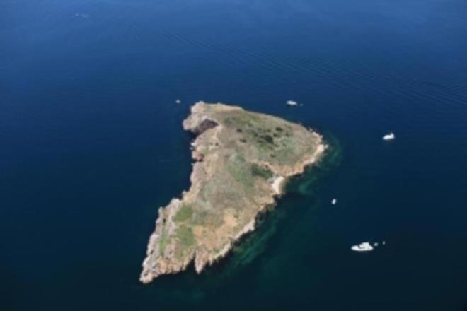 Ege Denizi'deki Yunan adalarndan biri olan Andros Adas'ndan g edip, Heybeliada'ya yerlemi olanlar, Heybeliada'da bir koloni oluturmulard. Androslular Bykada'nn arkasndaki bu kk adaya kendi adalarnn ismini anmak iin Yeni Andros anlamna gelen Neandros demilerdi. Bugn bu adaya Niandros, hatta Yandros da denilmekte. Haritalardaki resmi ad ise Balk Adas. Tavan Adas'nn elverili bir plaj yok. Bizans zamannda ta oca olarak da kullanlm. Adada bir adet manastr harabesi bulunuyor.