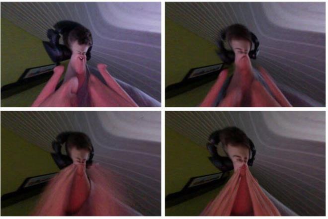 Pixture<br>    Google'n yaynlad listede ba eken uygulamalardan... Olduka geni kitlelere ulaan uygulamay telefonunuzda sakn barndrmayn!