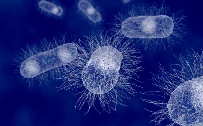 Getiimiz yl temmuz aynda da Kuzey Carolina eyaletinde serinlemek iin gle giren bir kii beyin yiyen amip sebebiyle hayatn kaybetmiti.