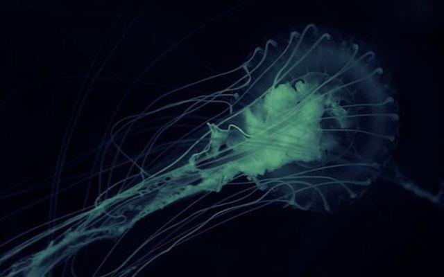 Floridal yetkililer blge halkna, "Burnunuza su almayn" uyarsnda bulundu.