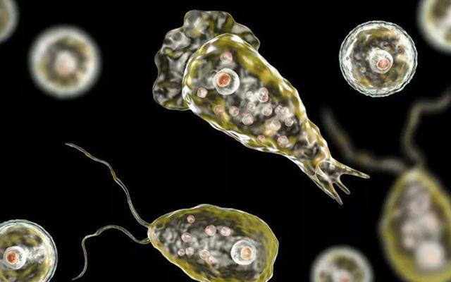 Enfeksiyon, ou zaman bir hafta iinde lme yol ayor.