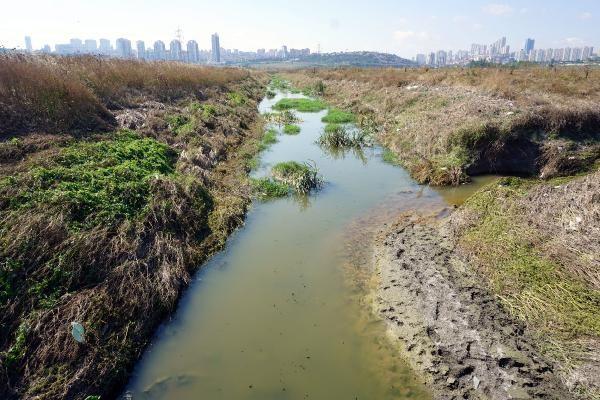 Haziran aynn yal gemesinin ardndan sivrisinek saysnda art meydana geldi. zellikle dere yatana ya da durgun sulara yakn yerlerde yaayan stanbullularn bir sredir sivrisineklerle ba dertte. Avclar, Baakehir, Kkekmece blgesinde yaayan vatandalar camlarn aamadklarn belirtirken, sinek srnn uzun sre gemediini ve yaraya dntn belirtiyor.