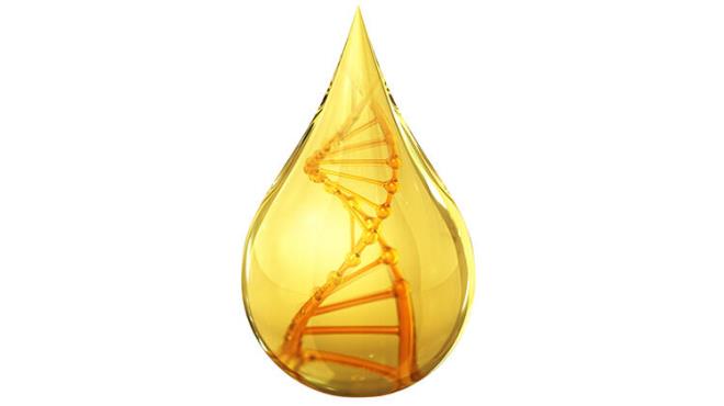 Kolajen eksikli�inin yans�malar� en �ok cildimizde g�r�l�yor; cildimiz s�k�l���n� kaybederek sarkmaya ba�l�yor, matla��yor ve k�r���klar ka��n�lmaz hale geliyor. Ayr�ca eklem k�k�rdaklar�ndan tendonlara, di�lerden t�rnaklara kadar pek �ok organ ve dokularda hasarlar geli�iyor.