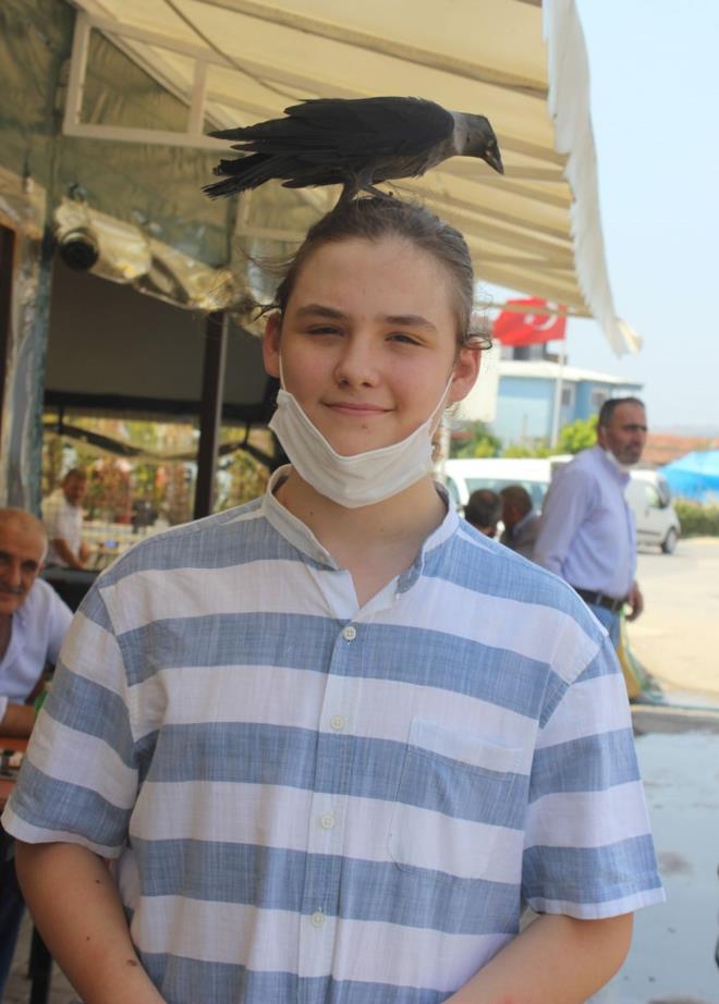 Kargayla dostluunun nasl baladn anlatan Ahmet Hamza rtne, "Bu karga apartmann havalandrma boluuna dmt. Biz bu kargay bir ka gn uralarmz sonucunda dt yerden karttk. Kurtardktan sonra ben kargay elimle evde beslemeye baladm. Kargayla aramzda bir ba olumaya balad. Kargay besledikten sonra doaya salmaya karar verdim.