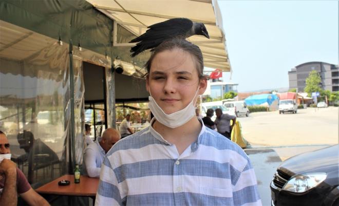 Kargay uzun sre evinde besleyen rtne, salna kavuan kargay doaya salmaya karar verdi.    Havaya att karga vefa rnei gsterip onu terk etmeyip geri dnp omuzuna kondu.