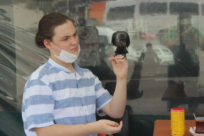 O gnden sonra da kargann, rtne'nin omzundan inmedii belirtiliyor.