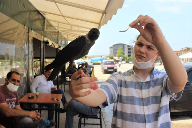 Lise rencisi Ahmet Hamza rtne, apartmanlarnn havalandrma boluuna den ve Bahattin ismini verdii kargay kurtard.