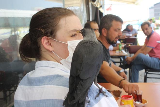 Bursa'da bir karga, dt apartman boluundan kendisini kurtaran liseli gencin omzundan ayrlmyor.