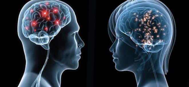 "BEYNE ULATIINDA ARI KESCLER YANIT VERMYOR"  <br>    Amipin scak ortamlar seven bir bakteri olduunu anlatan Altnba niversitesi Hastanesi Medical Park Bahelievler'den Beyin ve Sinir Cerrahisi Uzman Opr. Dr. Halil Olgn Peker ise "Burundan girerek burun mukozasndan burun siniri yoluyla beyne kadar ulayor. Beyinde iddetli bir menenjit tablosuna yol ayor. Bu tablo ok ar ve hzl gelitiinden hastalarda ksa sre ierisinde lmle sonulanyor. Bu nedenle tedavisi halen net olarak bulunamam bir hastalk. Hastaln 5-10 gnlk bir periyodu var. Virs nce burundan giriyor ve burada bir burun enfeksiyonu, sinzit bulgular oluturuyor. Sonra burun tkankl ve ate belirtileri grlyor. Beyne ulatnda ise ar kesicilere cevap vermeyen bir ba ars yaanyor. Bunun dnda ense sertlii ve uur deiiklikleri gibi ikayetlere bile yol ap hastalar komaya sokabiliyor. Ani beyin demi sonrasnda da hastalar hayatn kaybediyor" ifadelerini kulland.