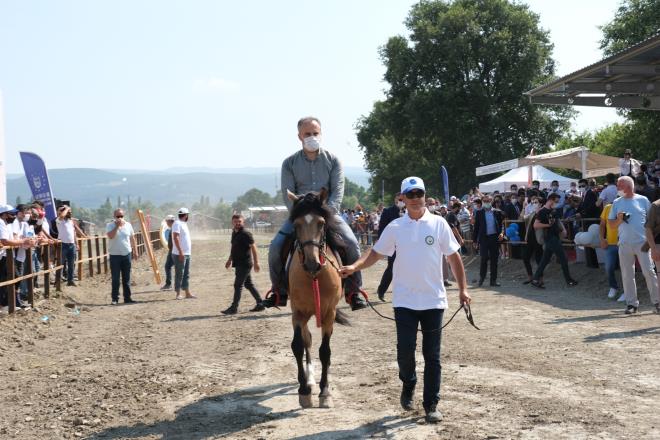 ?Nal sesinin sahibi?&#8232;  <br>  Bykehir Belediye Bakan Alinur Akta, Trkistan'dan g ederken, nizam- alem gayreti ve Kzl Elma mefkuresi ile 3 kta yedi iklime yol alrken hep atn ecdada yolda olduunu syledi. Atn, Hazreti Peygamberi tama erefine nail olurken ?Burak? olduunu, Hazreti Peygamberden Hazreti Ali'ye ve ondan da Hazreti Hasan ile Hseyin'e tevars ederken ?Dldl? olduunu belirten Bakan Alinur Akta, ?At, Battal Gazi?yi cenk meydanlarnda koruyan Hzr, Sar Saltuk Gazi?yi diyar diyar dolatran kanat, Evliya elebi?yi bizlere ulatran kpr olur. Alparslan'n Malazgirt?te attn naraya ahit olan da oydu. Sleyman ah'n znik surlarna bakna ortak olan da oydu. Osman Gazi'nin Bursa hasretiyle yann hisseden, Fatih Sultan Mehmet Han ile stanbul'a gelen, Atatrk'n ?Ya istiklal, ya lm? nidasyla ahlanan yine oydu. Orhun kitabelerinde taa nakedilen, Divan- Lugatit Trk'n sayfalarnda doludizgin koan, airlerin diliyle kanatlanan, nal seslerinin sahibi oydu? dedi.&#8232;