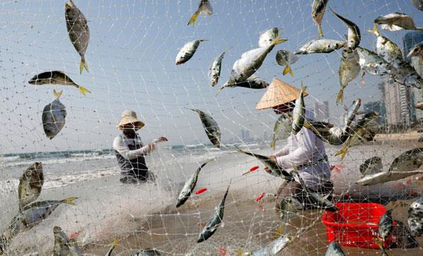 Vietnam hkmeti bandan beri salgn hakknda halkla ak bir iletiim kurdu. Salgna ynelik tbbi tavsiyelerin srekli gncelledii zel web siteleri, telefon hatlar ve mobil uygulamalar yapld. Salk Bakanl dzenli olarak insanlara SMS mesajlar ile hatrlatmalar gnderdi. <br>Ayrca hoparlrler, sokak afileri, basn ve sosyal medya araclyla salgn hakknda farkndalk yaratld. Salk Bakanl'nn el ykama video klibi sosyal medyada hemen viral oldu ve u ana kadar Youtube'da on milyonlarca kez izlendi. <br>Thwaites, Vietnam'n 2002-2003 yllar arasndaki SARS salgn ve onu takip eden ku gribi gibi bulac hastalk salgnlaryla baa kma konusundaki zengin deneyiminin hkmete ve halka Covid-19 salgn iin daha iyi hazrlanmasna yardmc olduunu aktaryor.