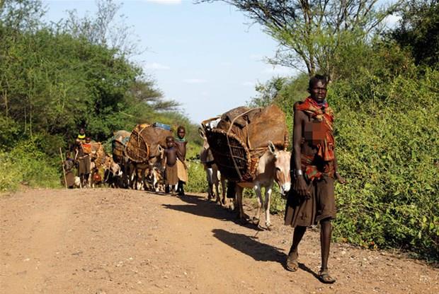 Dnya koronavirsn tsunami gibi hzla yayld lkelere dikkat kesilirken, dier tarafta hibir lmn kayda gemedii lkeler var.