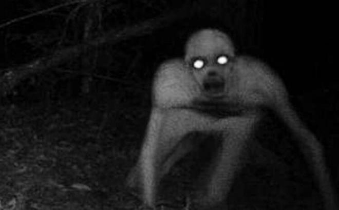 "Akll varlklarn tanmak istemeyeceimiz trden eylere nasl dnebileceini grmek iin kendimize bakmamz yeterli."