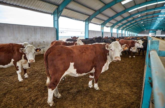 almann yazarlarnda Rob Jackson, sanayi devriminden bu yana insan faaliyetlerinin atmosferdeki metan miktarn 2,6, karbondioksit miktarn ise 1,7 kat arttn aklad.