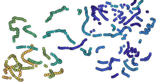 FLM ZLERKEN DE ORTAYA IKIYOR<br>    Kanada&#8217;daki  Bilisel Nroloji Merkezi&#8217;nde aratrma bakan olan Doktor Jordan Poppenk, &#8220;Dnce solucanlar dediimiz ey, beyindeki aktivite modellerinin basitletirilmi bir temsilindeki bitiik noktalardan oluuyor. Bir kii yeni bir dnceye getiinde, yntemlerimizle tespit edebileceimiz yeni bir dnce solucan yaratr. Ayrca, insanlarn film izlerken de yeni fikirlerin yapt gibi dnce solucanlarnn da ortaya ktn fark ettik&#8221; ifadelerini kulland.