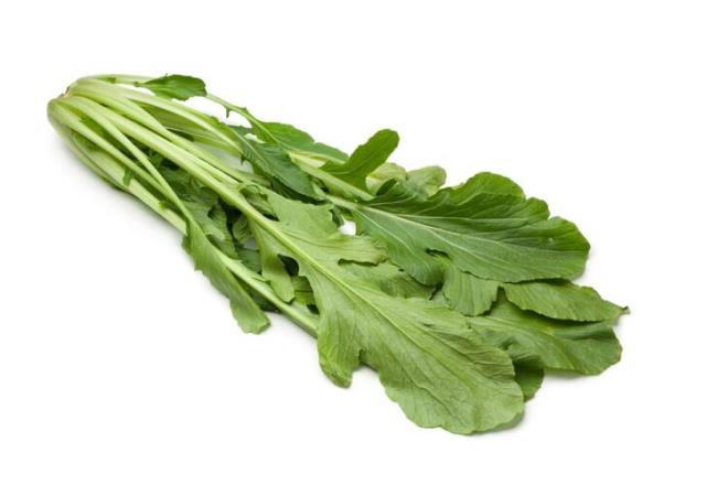 Tere:<br>  Terenin vücudunuza olan etkisi sadece bronşlarınızı temizlemekten ibaret değil. Tereyi kullanarak lezzetlendireceğiniz salatalar, yağ yakımını da destekler.