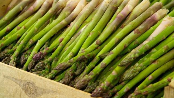 Ky blgelerinde, yol kenarlarnda, bayrlarda, krlarda kolaylkla yetiebilir.