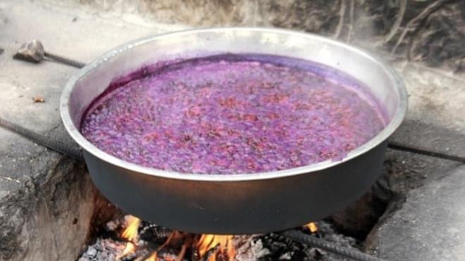 Beyaz dut ve siyah duttan farkl bir tad ve rengi olan urmu dut yetitiricilii, ismini &#8216;dut&#8217; meyvesinden alan Adyaman&#8217;n Tut ilesinde son 2 ylda yaygnlat. Beyaz duttan tonlarca pekmez ve dut kurusu reten Tut ilesinin reticileri, urmu dut pekmezinden 500 kiloya yakn retiyor.