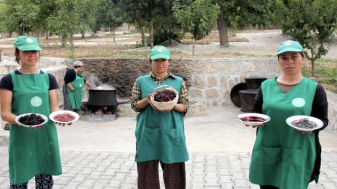 Baka bir retici Cemal Avc ise, urmu dutu ilenin sembol haline getirmeyi planladklarn, Anzer Bal gibi urmu dutun da Tut ilesinin bal olduunu dile getirdi.    Avc, rnn az olmasndan dolay kilo yerine gram ile satldn, urmu dutun doal antibiyotik olduunu aktard.