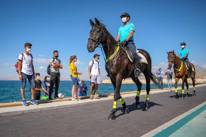 Gl kenarndaki sazlklarda yaban hayatn korumak iin de almalarn srdren atl jandarma birliine vatandalar da youn ilgi gsteriyor.