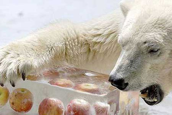 En �ok t�klananlar