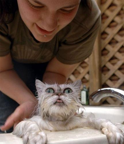 En �ok t�klananlar