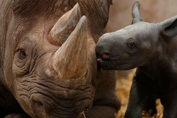 En �ok t�klananlar