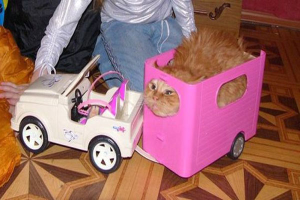 En �ok t�klananlar