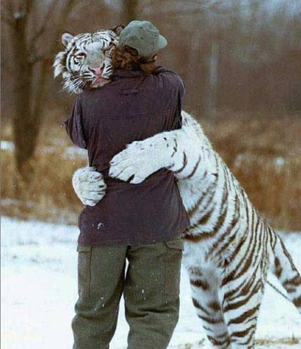 En �ok t�klananlar