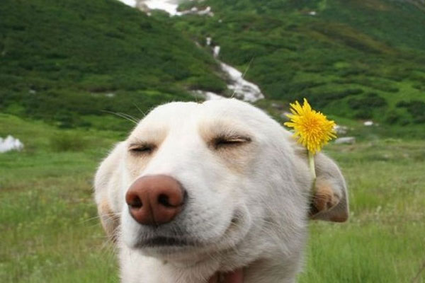 En �ok t�klananlar