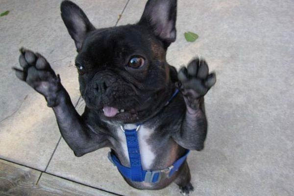 En �ok t�klananlar