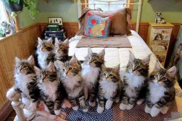 En �ok t�klananlar