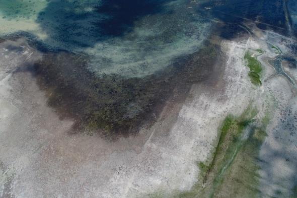 Ayrca sularn ekildii alanda kularn tnedii ve obanlarn hayvanlarn otlatt da grld.