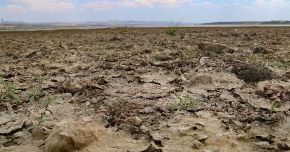 &#8220;Geenlerde yala beraber oluan hortumda sular baya ekildi&#8221; Sularn ekilmesinden dolay endielenen Fikret Arer, &#8220;Gln doluluk oran ok yksekti. Kymzn giriinde bir kpr var, sular oraya kadar geliyordu. Geenlerde yala beraber oluan hortumda sular baya ekildi. Aa yukar 200 metre sular ekilmi durumda. Endieliyiz umarm bir an nce bir eyler yaparlar&#8221; eklinde konutu.