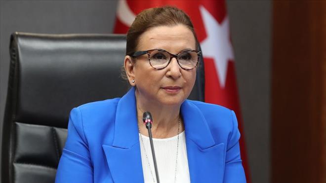 Ticaret Bakan Ruhsar Pekcan konuya ilikin yapt aklamada, ynetmeliin ikinci el tat ticaretinin adil rekabet koullar altnda, kolay, hzl ve gvenli bir ortamda yaplmasn salamann yan sra sektrn salkl bir ileyie kavuturulmas amacyla hazrlandn, bu kapsamda ilgili tm taraflarn gr ve katklarnn alndn belirtti.