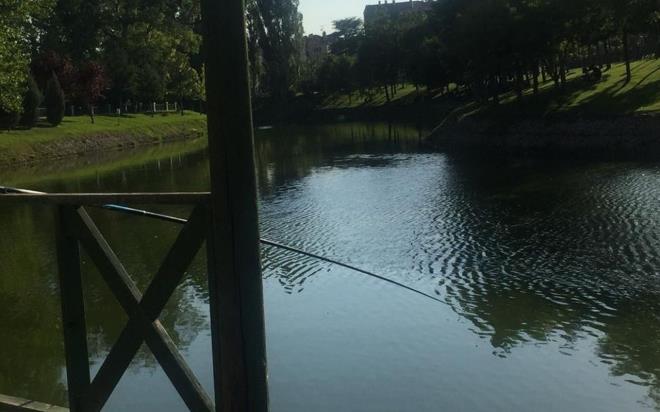 "Yrtk olan tarafndan el bombasnn pimini grnce..."  <br>  Poet iindeki el bombasn sudan karan Ahmet Batur yaadklarn anlatarak, &#8220;Poet oltaya takld. Poetin yrtk olan tarafndan el bombasnn pimini grnce, Ramazan arkadamz ald betonun stne koydu sonra emniyete haber verdik&#8221; ifadelerini kulland.