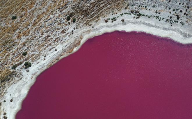 Pembe rengin 2 nedeni var<br>    Eren, su renginin pembeye dnmesinin sebebinin literatre gre, zellikle tuzlu suyun iindeki birtakm bakteriler ve buna bal beta karoten retimi olduunu bildirdi.