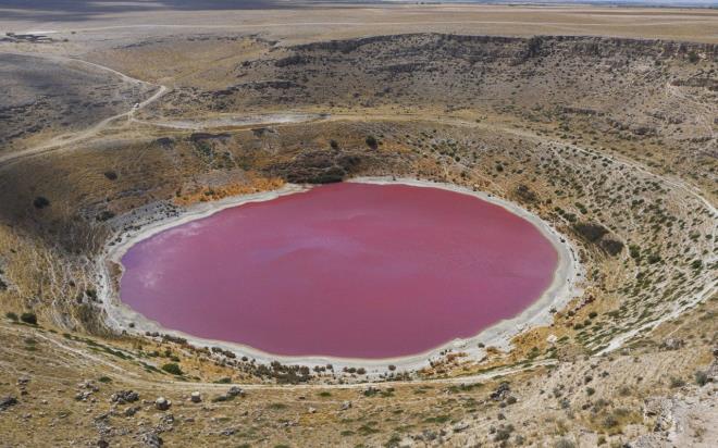 Eren szlerini, "Kendileri yeil alg olmasna ramen ar tuzlu ortamlarda yksek miktarda beta karoten retirler ve bylece suyun rengi de krmzya dner. Meyil Obruu'nun suyu bu akladm nedenlerle pembe renk olmutur."
