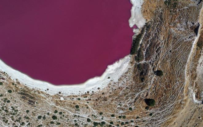 Mikroskobik canllarn oalmasyla suyun rengi deiiyor  <br>  Eren pembe rengiyle ilgili szlerine "Meyil Obruk Gl'nde muhtemelen bulunan 'dunaliella saline', ar tuzlu ortamlarda yaayabilen bir yeil mikroalg trdr. Bu canllar yksek tuzluluk artlarna sahip ortamlara adapte olabilirler. Tr ad olan 'salina' kelimesi de Latince kkenlidir ve 'tuz, tuz madeni, tuzlu' anlamlarna gelir. Tuz oran arttka bu canl artar ve bu mikroskobik boyuttaki canllarn o blgede ar oalmasyla suyun rengi krmzya dner." dedi.