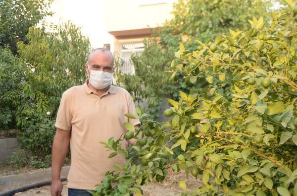 Kaslarm erimi, yrmeyi unutmuum. Lavaboya gidip geliim olan 5 dakikann hesabn yaptm. Burnumda hortumla lavaboya gidip geliyordum, kendimi yle kandryordum hala oksijen alyormuum gibi. O zaman kendi kendime '10 dakikalk oksijen iin tm servetimi veridim' dedim. Bunu ancak yaayan bilir" dedi.