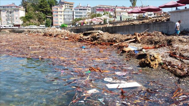 Giresun'da yaanan sel sonras sahil, sel sularnn getirdii odun paralar ile doldu. Kentte  gn nce iddetli yan ardndan Gelevera Deresi ve Harit ay'nda oluan sel, amurun yan sra odun paralarn da Karadeniz'e tad. Tirebolu ilesi sahilini kaplayan sel sularnn getirdii odun paralar havadan grntlendi. Klk odun ihtiyacn karlamak isteyen pek ok kii, denizdeki odun paralarn toplamaya alt.