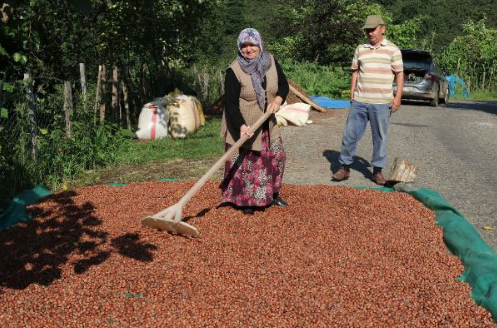 Son anlar kamerada  <br>  Sele kaplan Davut ile ei Emine ve kzlar Betl Akgn'n son anlar ise bir i yerinin gvenlik kamerasna yansd. Osmaniye kyne kmadan bir market nnde duran aile, alveri sonras otomobile binerek kye doru yola kyor.
