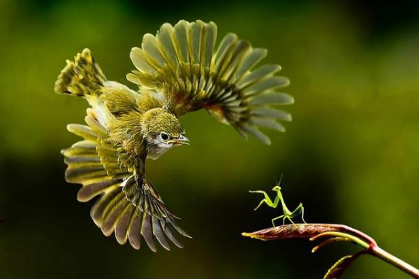 Zamanlama harikas� kareler ...