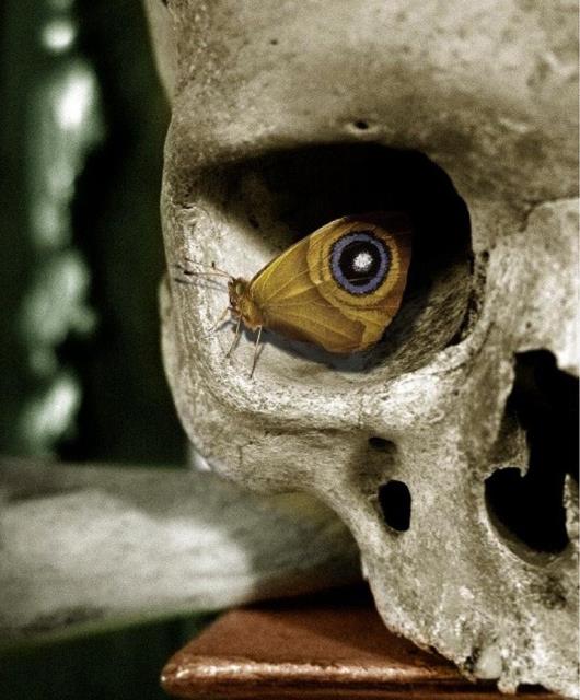 Zamanlama harikas� kareler ...