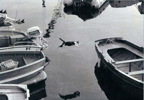 Zamanlama harikas� kareler ...