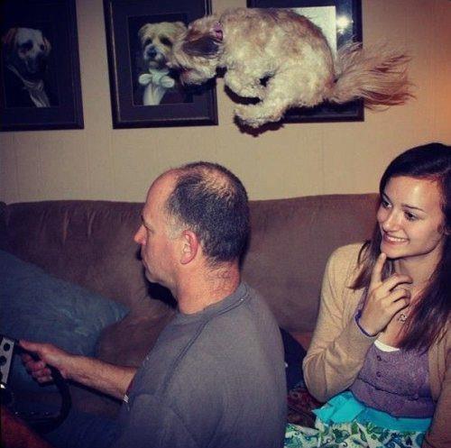 Zamanlama harikas� kareler ...