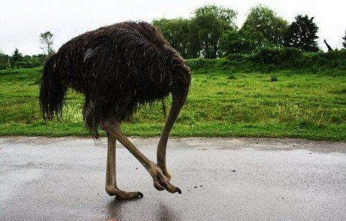 Zamanlama harikas� kareler ...