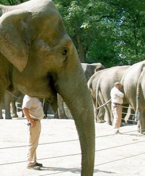 Zamanlama harikas� kareler ...